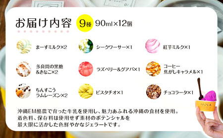 【ふるさと納税】ジェラート12個セット こころおどる  | アイス 沖縄  ジェラート アイス カップアイス アイスクリーム スイーツ