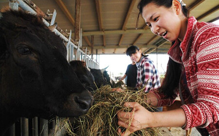 【ふるさと納税】沖縄県産和牛【KINJO BEEF】手ごねハンバーグステーキ(200g×5P) | 肉 にく 沖縄 人気 送料無料