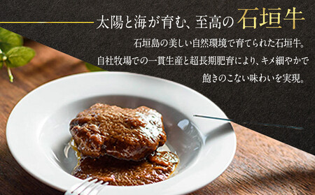 【ふるさと納税】沖縄県産和牛【KINJO BEEF】手ごねハンバーグステーキ（200g×3P）  | 肉 にく 沖縄  人気 送料無料