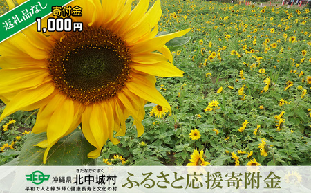 【返礼品なし】沖縄県北中城村ふるさと応援寄附金 1000円 寄附のみの応援 寄附のみ 返礼品なし 返礼品無し　御礼品なし　御礼品無し 寄附 寄付 応援 支援 沖縄本島 中部地区 世界遺産 中城城跡 伝統芸能 国指定重要文化財 中村家住宅 観光 観光保全活動 村長 こども 子供 おきなわ きたなかぐすく 北中城村 千円