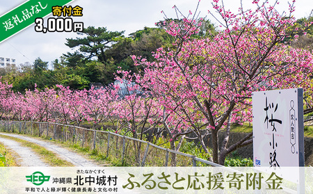 【返礼品なし】沖縄県北中城村ふるさと応援寄附金 3000円 寄附のみの応援 寄附のみ 返礼品なし 返礼品無し　御礼品なし　御礼品無し 寄附 寄付 応援 支援 沖縄本島 中部地区 世界遺産 中城城跡 伝統芸能 観光 観光保全活動 村長 こども 子供 おきなわ 沖縄 沖縄県 きたなかぐすく 北中城村 三千円