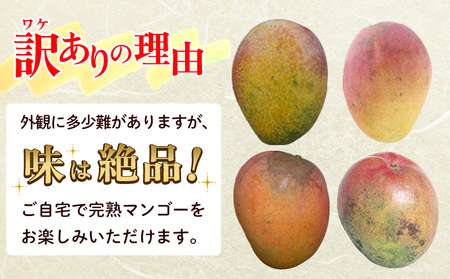 【2025年発送】訳あり品！沖縄県北中城村　完熟マンゴー　約1.5kg×2箱 北中城村 先行予約 訳あり 訳アリ フルーツ 果物 くだもの アップルマンゴー アーウィン種 冷蔵 JA 家庭用 お試し 美味しい 沖縄 生産者応援 フードロス 人気 おすすめ お取り寄せ