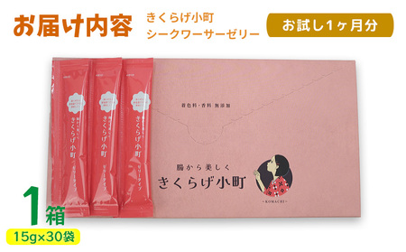 【きくらげ小町】シークワーサーゼリー　お試し1ヶ月分　1箱(15g×30袋) きくらげ シークヮーサー シークワーサー ゼリー 乳酸菌 栽培 きのこ 個包装 プレゼント ギフト 贈り物 おすすめ 人気 お取り寄せ 沖縄県産 国産 送料無料 おきなわ 沖縄 北中城村