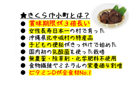 生きくらげ　300g×3セット きくらげ 生キクラゲ 生木耳 キクラゲ 沖縄 きくらげ 乳酸菌 栽培 きのこ 生 生キクラゲ レシピ 料理 家庭料理 食感 ミネラル 食物繊維 おすすめ お取り寄せ 沖縄県産 国産 送料無料 ふるさと納税 きくらげ小町 北中城村