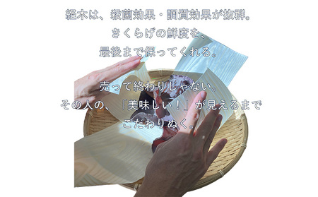 生きくらげ　300g×6セット きくらげ 乳酸菌 栽培 きのこ 生 生キクラゲ レシピ 料理 家庭料理 食感 きくらげ小町 木耳 キクラゲ お取り寄せ おすすめ 国産 送料無料 おきなわ 沖縄 北中城村