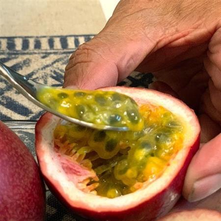 【2026年3月より順次発送】井上さんのパッションフルーツ約1kg(8～11個)【1480404】