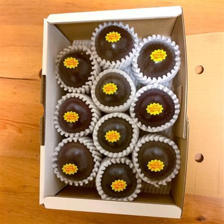 【2026年3月より順次発送】井上さんのパッションフルーツ約1kg(8～11個)【1480404】