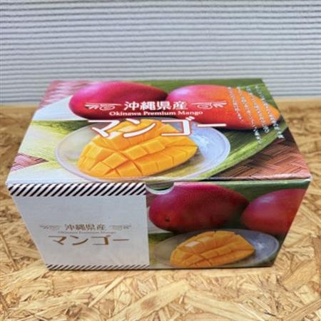 【2026年6月から順次発送・化粧箱】JAおきなわ厳選 秀品アップルマンゴー1kg(2～3玉)【配送不可地域：離島】【1724299】