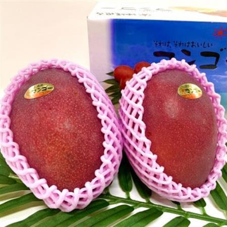 【2026年6月から順次発送・化粧箱】JAおきなわ厳選 秀品アップルマンゴー1kg(2～3玉)【配送不可地域：離島】【1724299】