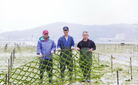 琉球アーサスープ 沖縄県 北中城村産 4g 365個 1年分 あおさのり あーさ ひとえぐさ スープ 海藻 栄養 健康 ビタミン ミネラル 食物繊維 緑黄色野菜 お吸い物 沖縄そば 天ぷら だし巻き卵 長寿 抗酸化作用 佐敷中城漁業協同組合