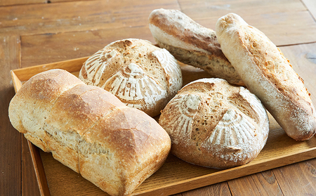 パン 無糖・無塩パンセット＜ときはや＞ 定期便（6回分）