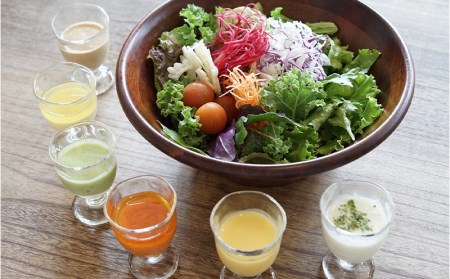 【EMウェルネス】ヒーリケーション：2名様プラン【3泊4日　6食付き】