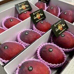 【2026年6月下旬から順次発送】マルトウマンゴーのプレミアム アップルマンゴー2kg【配送不可地域：離島】【1670285】