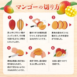 【2026年6月下旬から順次発送・贈答用】儀間農園の完熟アップルマンゴー 秀品1kg(大玉2玉)【配送不可地域：離島】【1672922】