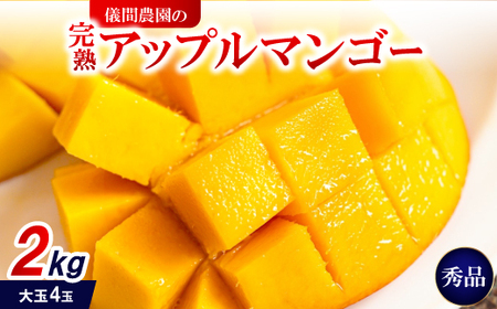 【2026年6月下旬から順次発送・贈答用】儀間農園の完熟アップルマンゴー 秀品2kg(大玉4玉)【配送不可地域：離島】【1672923】