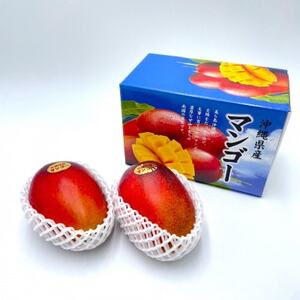 【2026年7月から順次発送・化粧箱】中城果樹園の完熟マンゴー 優品1.0kg(2~3玉)【配送不可地域:離島】【1673160】