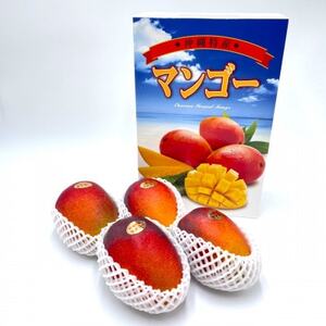 【2026年7月から順次発送・化粧箱】中城果樹園の完熟マンゴー 優品1.5kg(3～5玉)【配送不可地域：離島】【1673170】