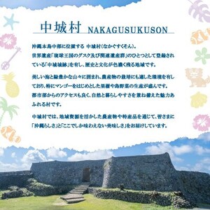 【沖縄ホーメルお試しセット】コンビーフハッシュ(63g×6個)【1676794】