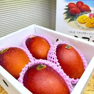 【2026年6月から順次発送・化粧箱】JAおきなわが厳選したアップルマンゴー2kg(3~6玉)【配送不可地域:離島】【1681769】