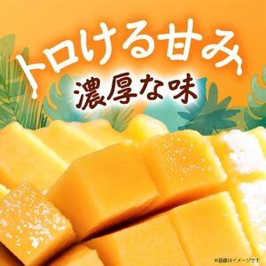 【2026年8月から順次発送・訳あり】JAおきなわ厳選した幻のキーツマンゴー2kg(2～3玉)【配送不可地域：離島】【1681780】