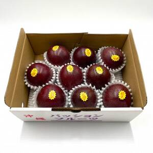 【2026年5月から順次発送・贈答用】JAおきなわが厳選したパッションフルーツ1kg(8～10玉)【1681790】