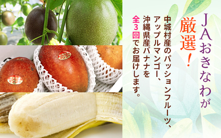 【発送月固定定期便】JAおきなわ厳選フルーツセット(パッションフルーツ・マンゴー・島バナナ)全3回【配送不可地域：離島】【4079615】