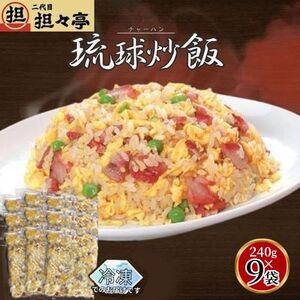 二代目担々亭　琉球チャーハン　9人前(240g×9袋)【配送不可地域：離島】【1709499】