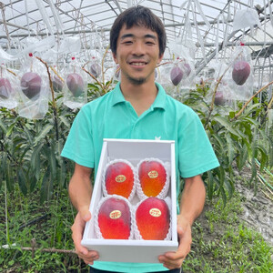 2025年6月～7月頃の発送・贈答用】西原町の完熟マンゴー2kg【配送不可 