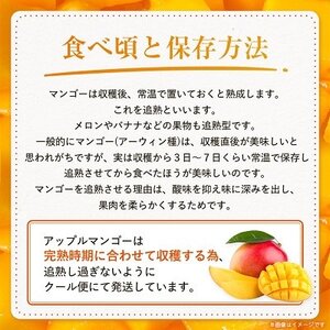 【2025年発送予定・訳あり】アーウィンマンゴー1.5kg(3～6玉)【配送不可地域：離島】【1494040】