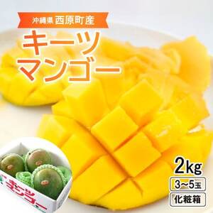 【2025年発送・化粧箱】キーツマンゴー2.0kg(3～5玉)【1494471】