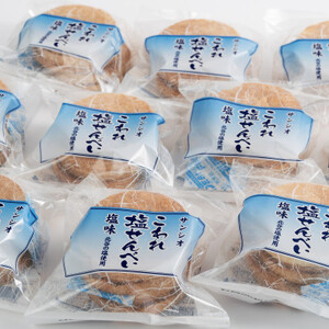 大容量 こわれ塩せんべい 塩味(16枚×12袋入り)【1506716】