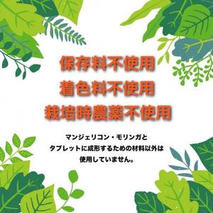 RESCUEマンジェリコンタブレット[モリンガ配合](250mg×90粒)【1550729】