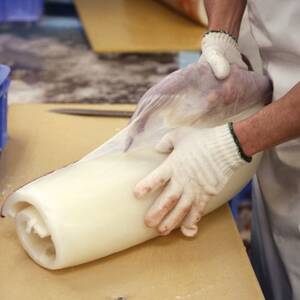 セーイカ お刺身用 約1kg(200g×5柵)【配送不可地域:離島】【1564825】