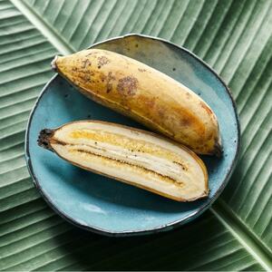 西原町の栽培期間中農薬不使用のナムワバナナ3kg【1616143】