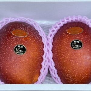 【2026年6月から順次発送】糖度15度以上!JAおきなわが厳正したプレミアムマンゴー2玉【配送不可地域：離島】【1641002】