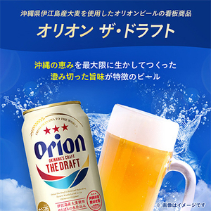【毎月定期便】オリオンビール 人気の5種類をお届け全5回【4008206】