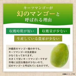 【2025年発送・優品】幻のキーツマンゴー約2kg(2玉～3玉)【配送不可地域：離島】【1546414】