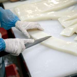 せーいか お刺身用 約2kg(200g×10柵)【配送不可地域:離島】【1549419】