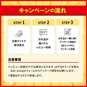 沖縄そば と ソーキ肉&三枚肉の欲張り6人前セット 本格的な沖縄の味をご自宅で!【1651064】