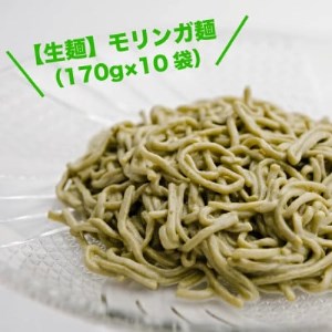 【生麺】もちもち触感のモリンガ麺10食セット【配送不可地域：離島】【1387632】