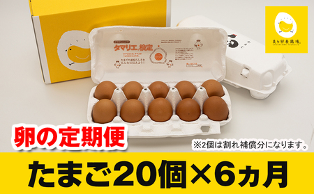 【定期便】6ヵ月連続お届け　美ら卵養鶏場の卵　各月20個