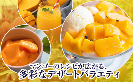 【2026年発送】南野園　家庭用　アーウィンマンゴー1.5kg