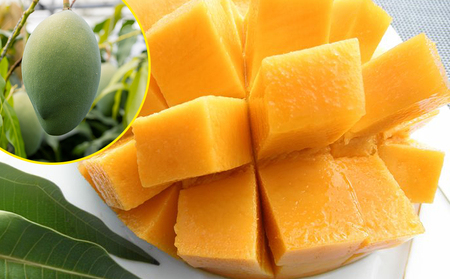 【2026年発送】沖縄県産キーツマンゴー1.5kg