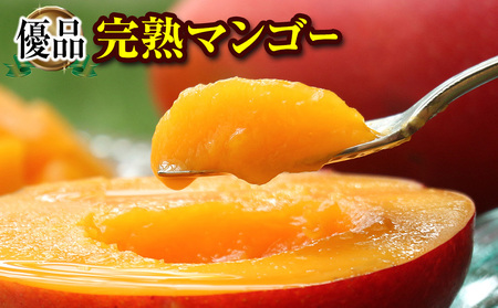 【2026年発送】「優品」丹精込めた完熟マンゴー1kg 2玉~3玉