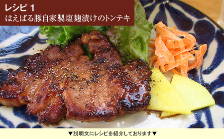 はえばる豚　ロースステーキ自家製塩麹漬け　10枚入り