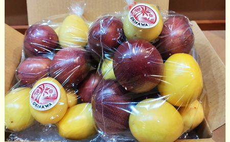 【2026年発送】パッションベビー食べ比べセット　家庭用1.5kg