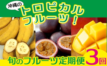 【2021年発送】沖縄のトロピカルフルーツ!旬のフルーツ定期便(全3回)
