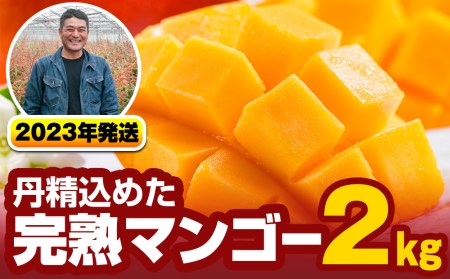 【2022年発送】<南風原農園>丹精込めた「完熟マンゴー」2kg