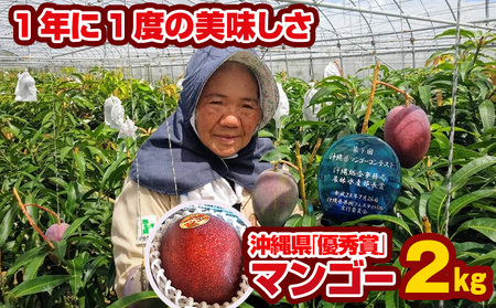 【2024年発送】芳醇な香り　とろける食感　沖縄県「優秀賞」マンゴー2kg