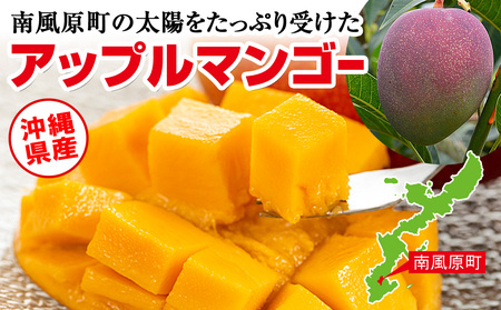 【2024年発送】南国の果物　沖縄県産アップルマンゴー　1kg